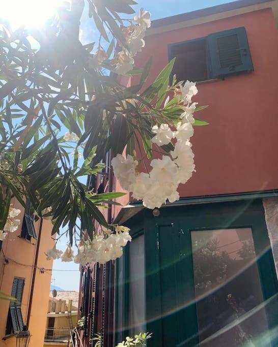 Historic Downtown Home By The Sea With King Bed Monterosso al Mare Extérieur photo